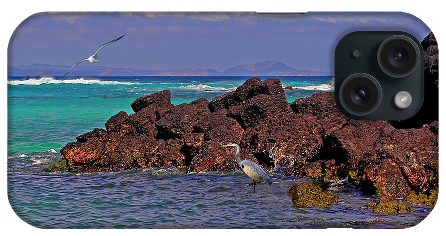 Galapagos iPhone Case featuring the photograph Galapagos Shores by Phil Jensen