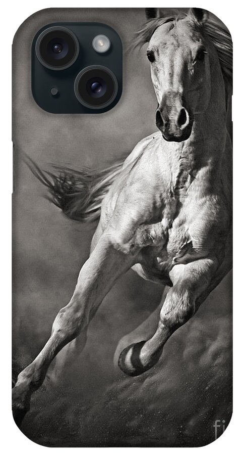 Horse iPhone Case featuring the photograph Galloping White Horse in Dust by Dimitar Hristov