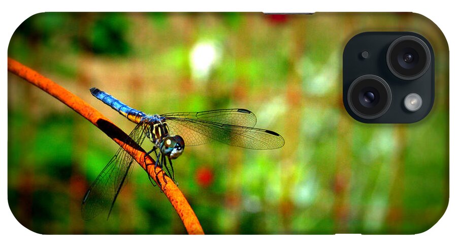 Dragonfly iPhone Case featuring the photograph Blue Dragonfly by Eunice Miller