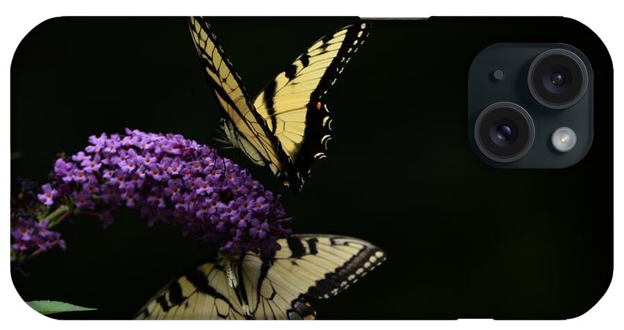 Butterfly iPhone Case featuring the photograph Garden of Eden by Carolyn Mickulas
