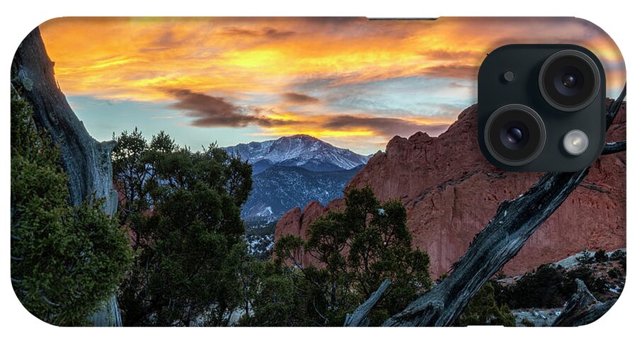 Garden Of The Gods iPhone Case featuring the photograph Garden of the Gods framed in the Twisted Tree by David Soldano