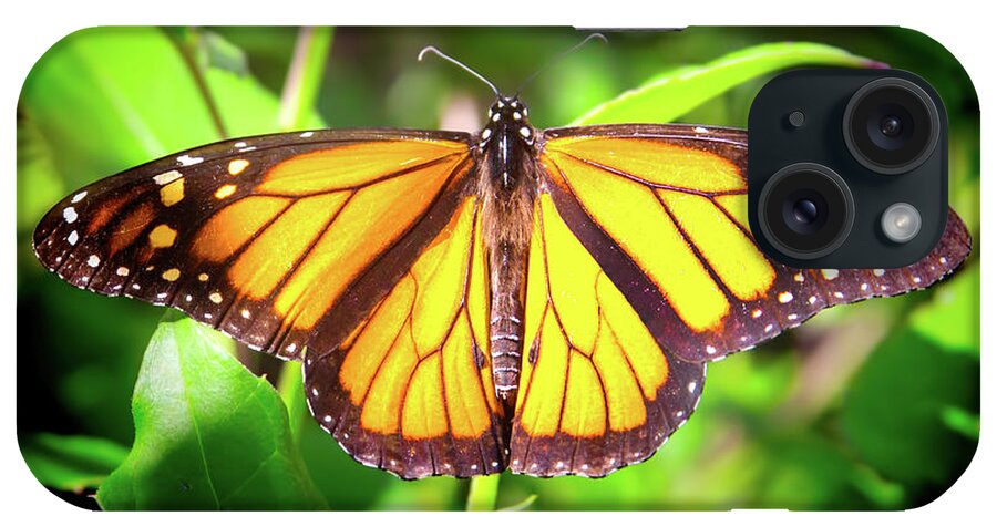 Butterfly iPhone Case featuring the photograph Garden of the Monarch by Mark Andrew Thomas