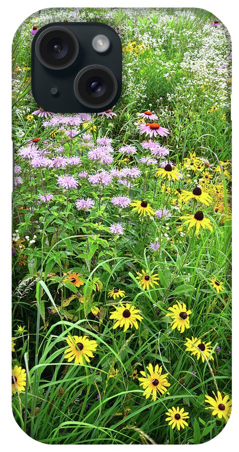 Black Eyed Susan iPhone Case featuring the photograph Garden of Wildflowers in Moraine Hills SP by Ray Mathis