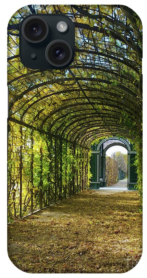 Garden iPhone Case featuring the photograph Garden Path in Schonbrunn Palace, Vienna by Marguerita Tan