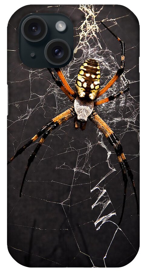 Spider iPhone Case featuring the photograph Garden Spider and Web by Tamyra Ayles