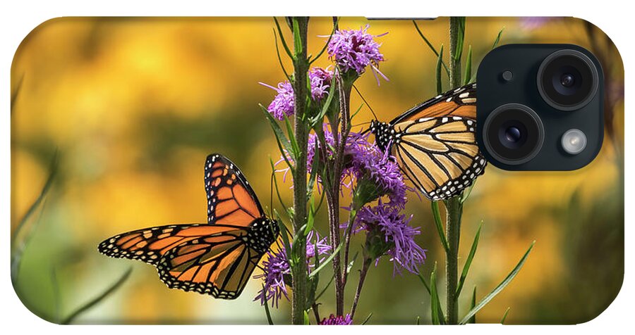 Monarch Butterflies iPhone Case featuring the photograph Gardeners Dream by Thomas Young