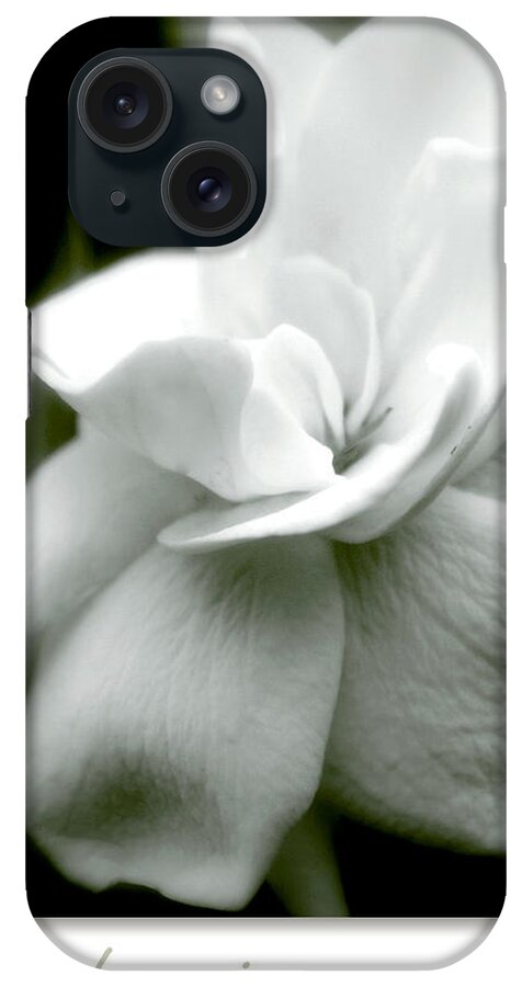 Flower iPhone Case featuring the photograph Gardenia by Holly Kempe