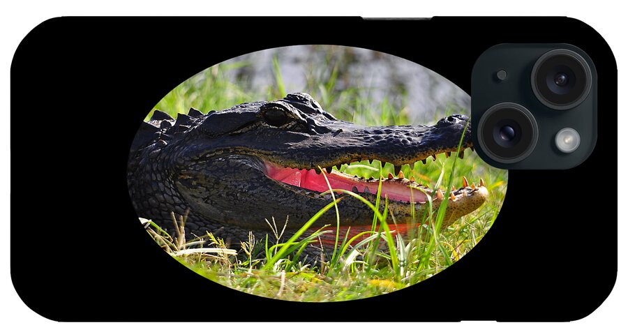 Alligator iPhone Case featuring the photograph Gator Grin .png by Al Powell Photography USA