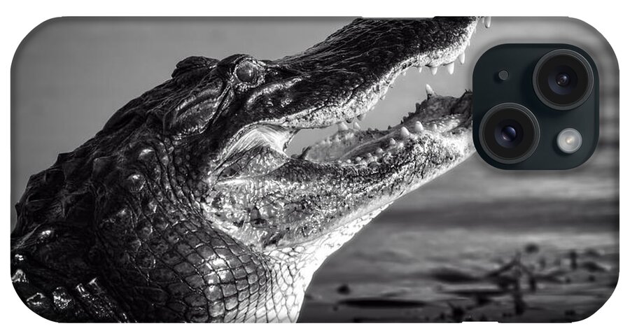 Alligator iPhone Case featuring the photograph Gator Growl by Mark Andrew Thomas