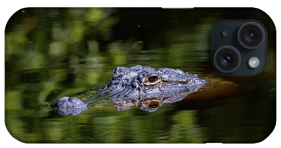Alligator iPhone Case featuring the photograph Gator Pond by JASawyer Imaging