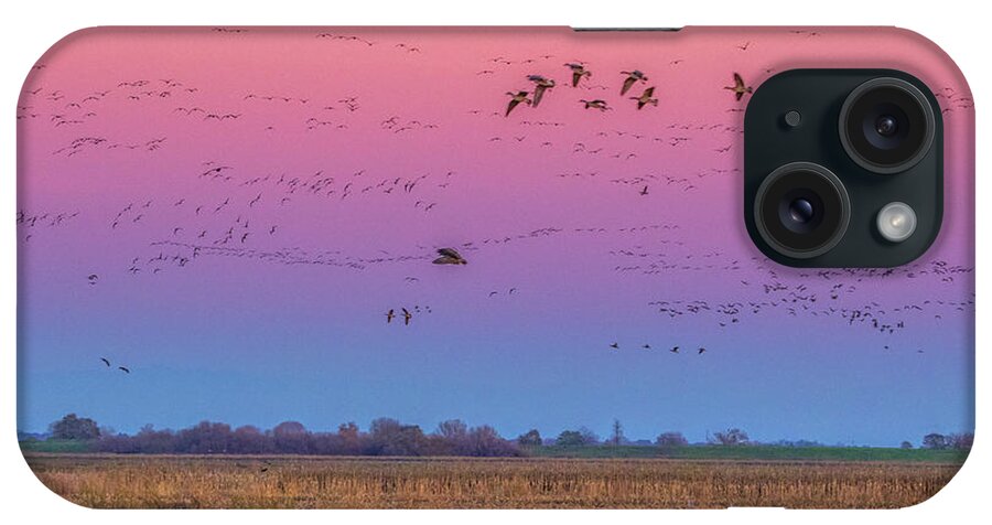Landscape iPhone Case featuring the photograph Geese Flying at Sunset by Marc Crumpler