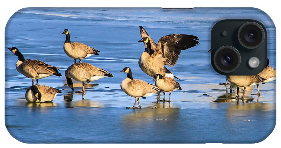 Geese iPhone Case featuring the photograph Geese On Ice by Juli Ellen