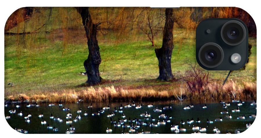 Canada Goose iPhone Case featuring the photograph Geese Weeping Willows by Rockin Docks Deluxephotos