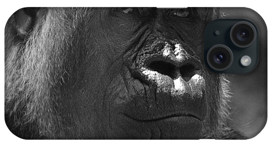 Gorilla iPhone Case featuring the photograph Gentle Gorilla by Lori Seaman