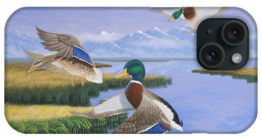 Waterfowl iPhone Case featuring the painting Gentle Landing by Del Malonee