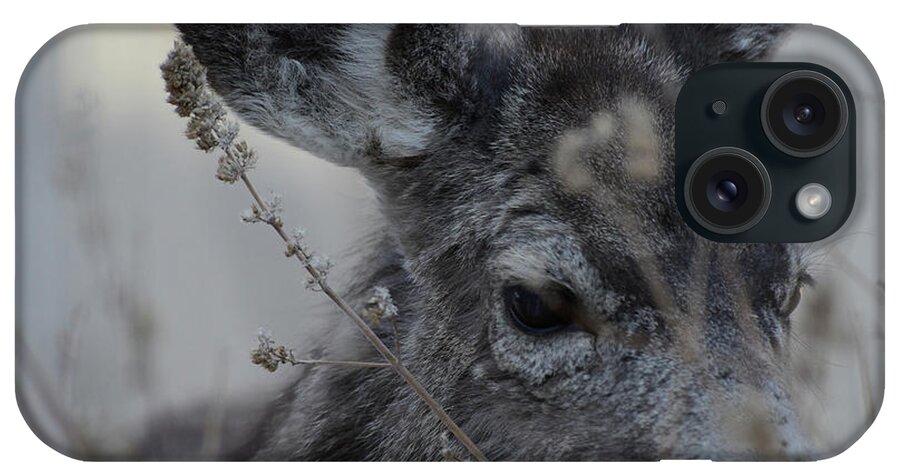  Garrett} iPhone Case featuring the photograph Gentle SOul to Soothe by Rae Ann M Garrett