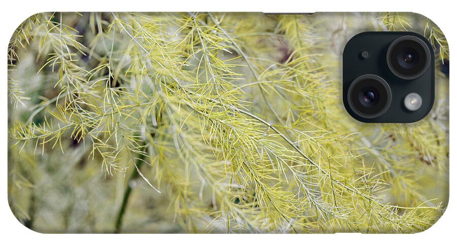 Foliage iPhone Case featuring the photograph Gentle Weeds by Deborah Crew-Johnson