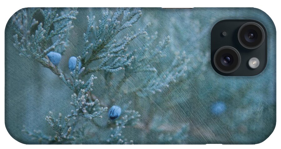 Juniper iPhone Case featuring the photograph In the Night by Marilyn Cornwell
