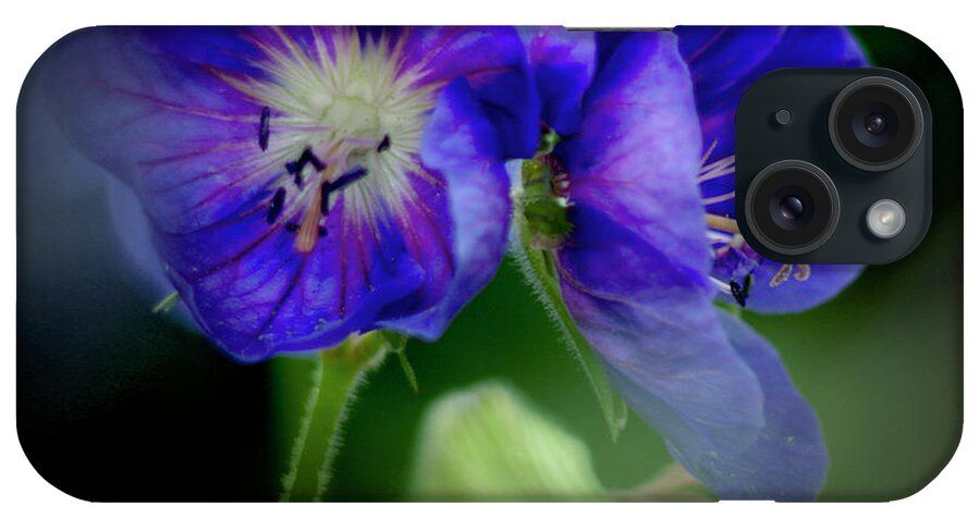 Flowers iPhone Case featuring the photograph Geraniums by Peter OReilly