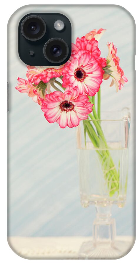 Daisies iPhone Case featuring the photograph Gerbera Daisies in Footed Vase by Susan Gary