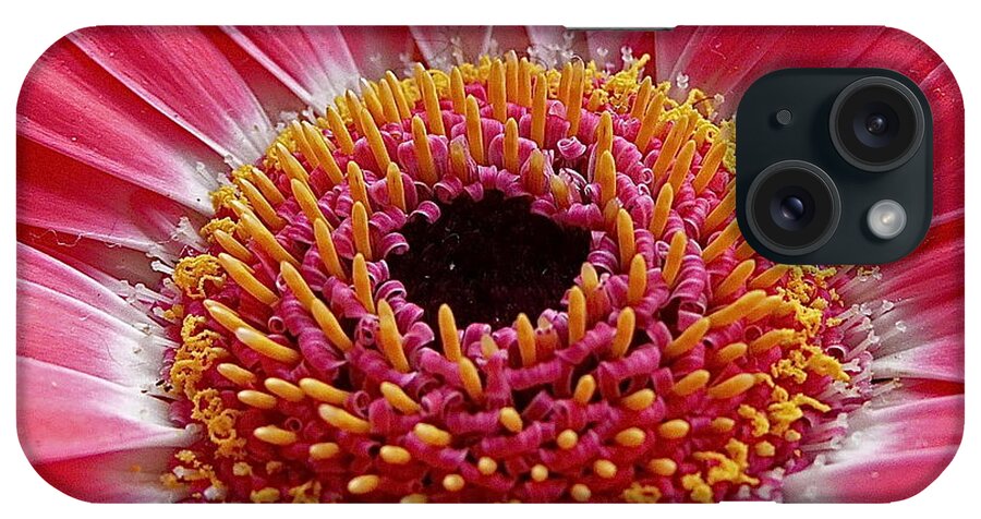 Photography iPhone Case featuring the photograph Gerbera daisy by Sean Griffin