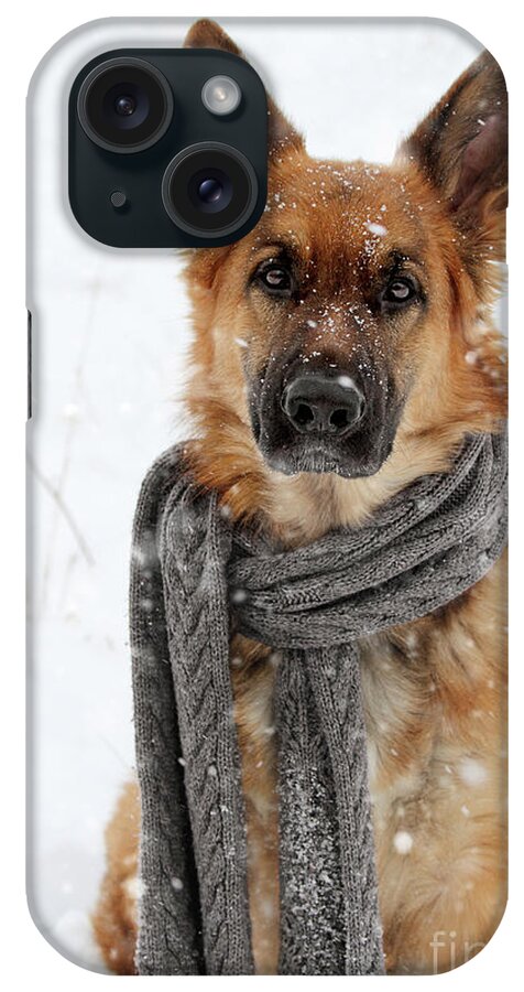 German Shepherd iPhone Case featuring the photograph German Shepherd Wearing Scarf In Snow by Stephanie Frey