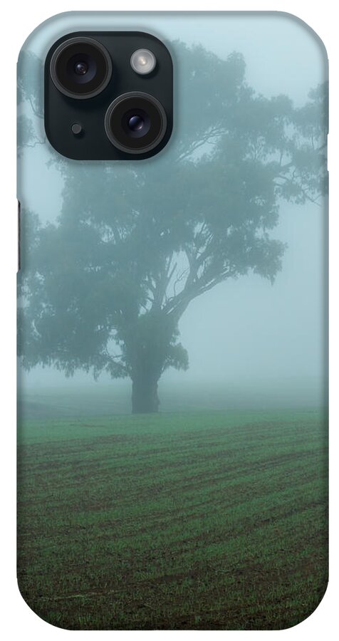 Ghost iPhone Case featuring the photograph Ghost Gum by Nicholas Blackwell