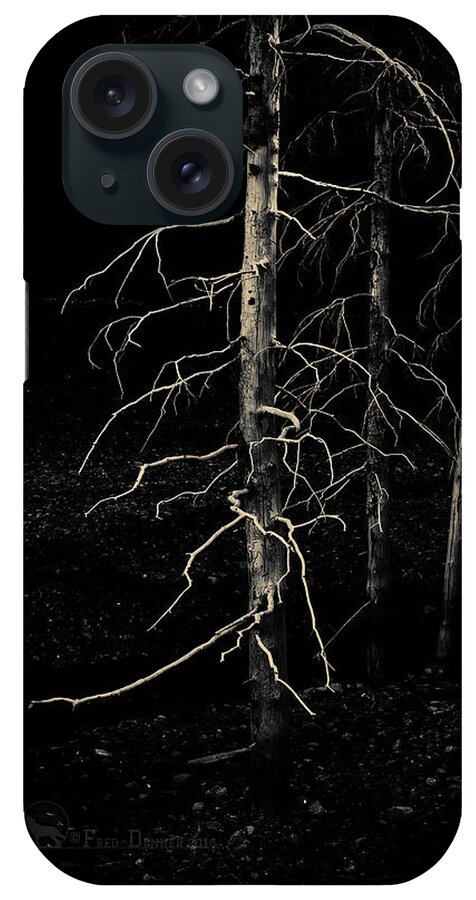 Trees iPhone Case featuring the photograph Ghost Trees by Fred Denner