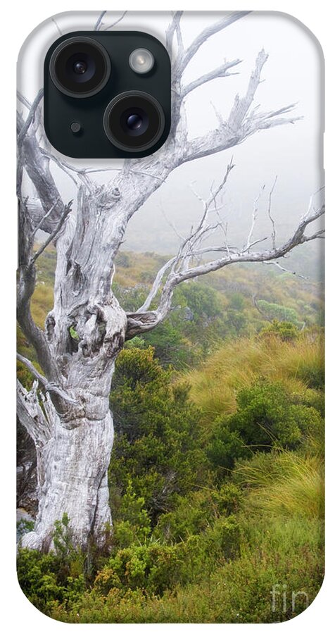 Landscape iPhone Case featuring the photograph Ghost by Werner Padarin