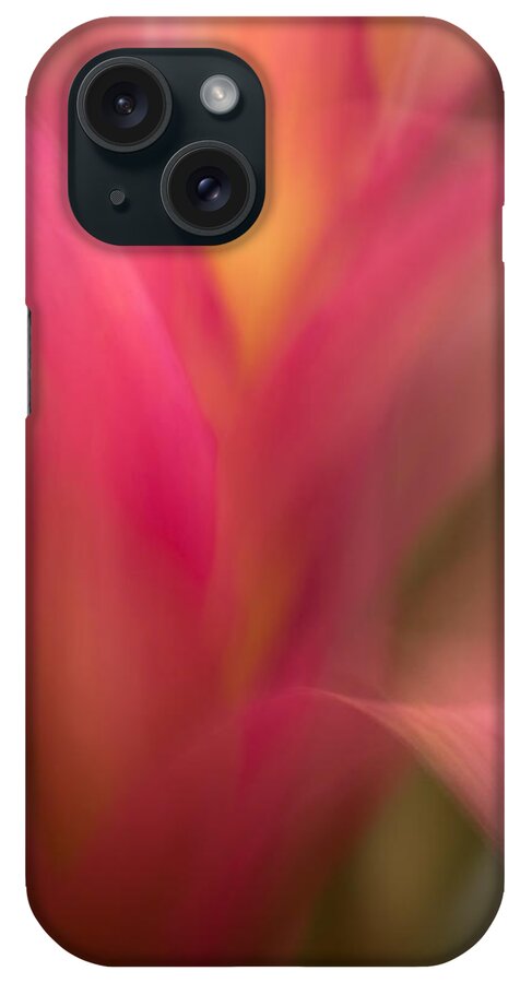 Flower iPhone Case featuring the photograph Ginger Flower Blossom Abstract by Catherine Lau
