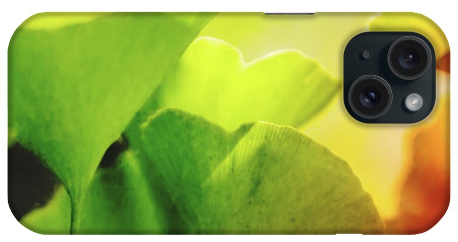 Ginko iPhone Case featuring the digital art Gingko Gala by Terry Davis