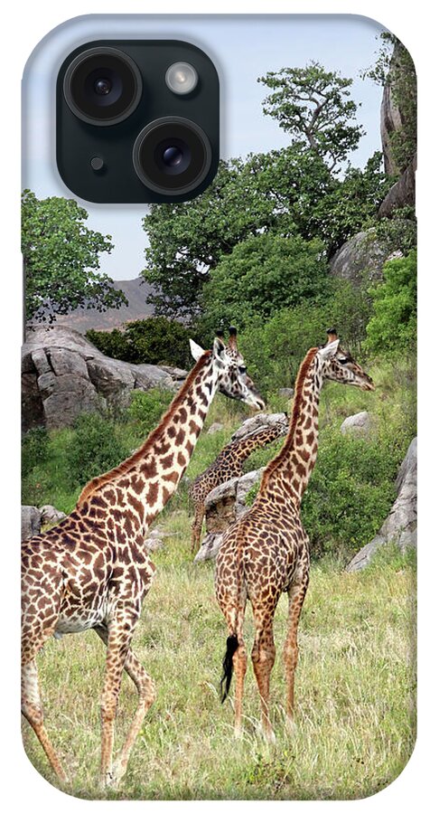African Landscape iPhone Case featuring the photograph Giraffe Family in Africa by Gill Billington