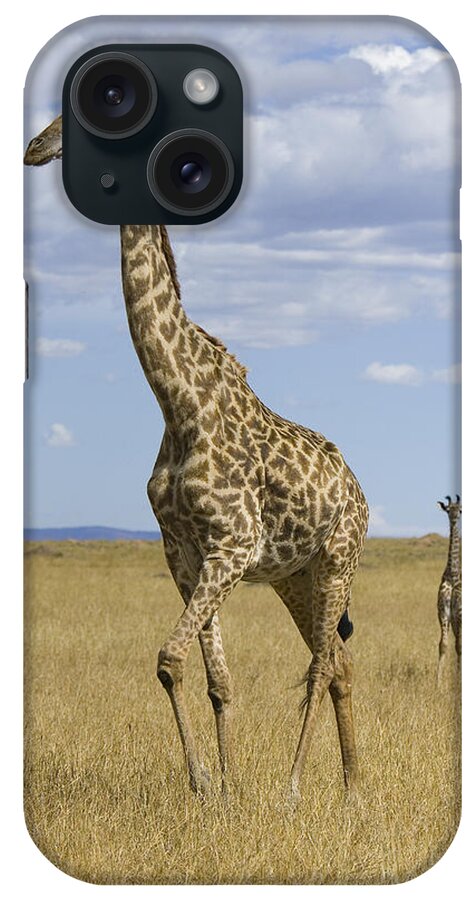 00784053 iPhone Case featuring the photograph Giraffe Mother And 3 Week Old Calf by Suzi Eszterhas