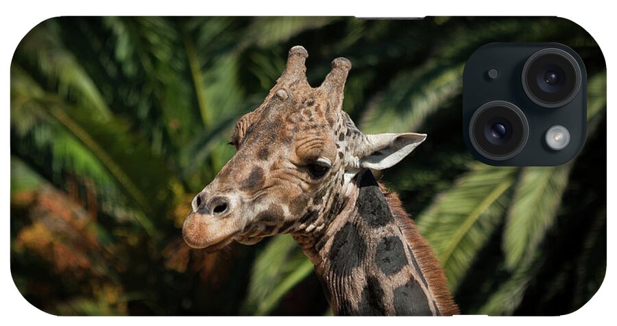 Giraffe iPhone Case featuring the photograph Giraffe by Roger Mullenhour