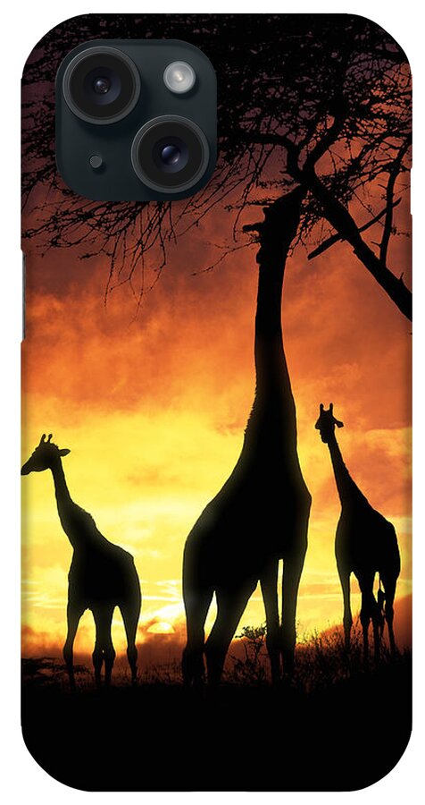 Giraffa Camelopardalis iPhone Case featuring the photograph Giraffes at Runrise by Warren Photographic