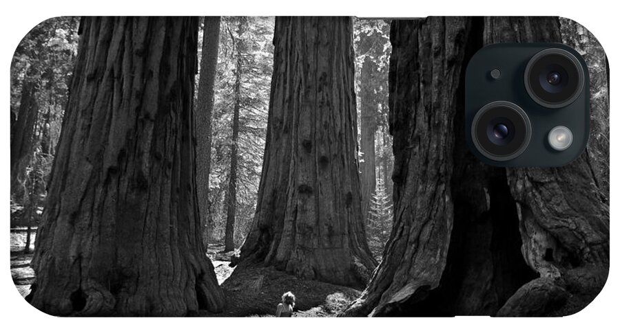 Sequoias iPhone Case featuring the photograph Girl and Giants by Olivier Steiner