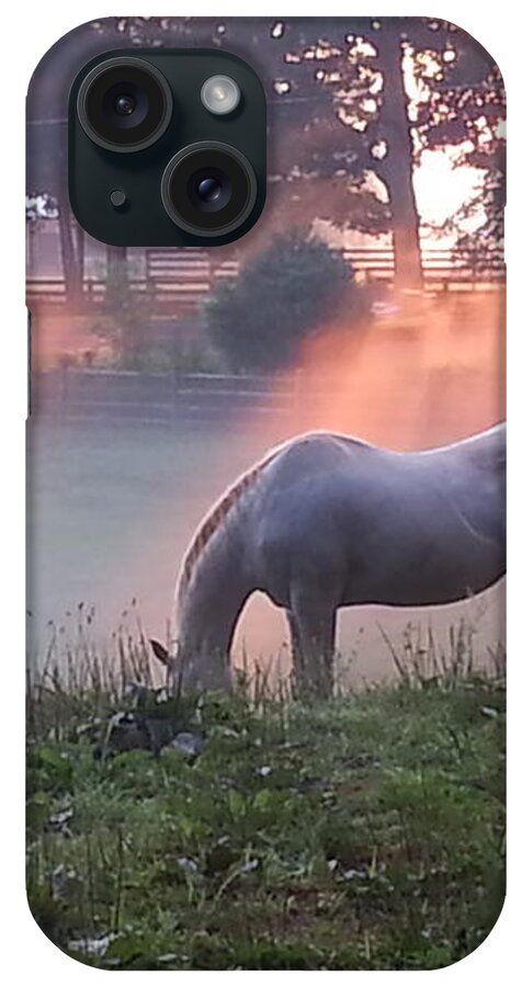 Horses iPhone Case featuring the photograph Gitchie and the Sunrise by Rabiah Seminole
