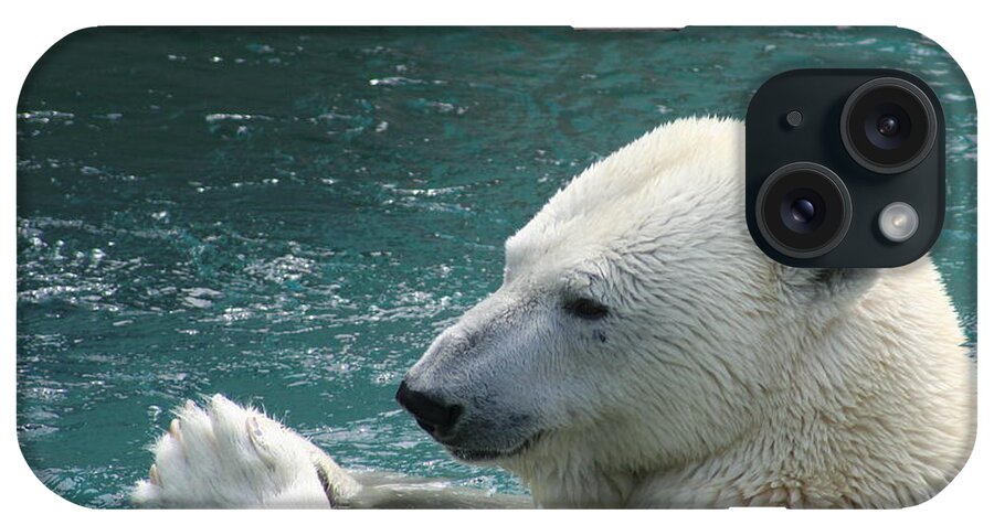 Polar Bear iPhone Case featuring the photograph Giving thanks by David Barker