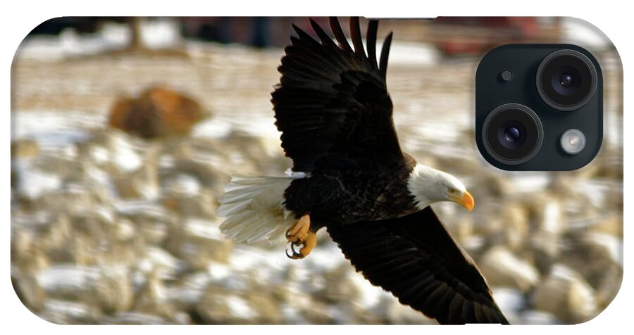 Bald Eagle iPhone Case featuring the photograph Gliding by Peter Ponzio