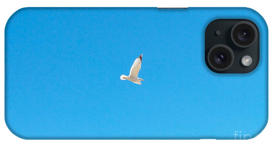 Photography iPhone Case featuring the photograph Gliding Seagull by Francesca Mackenney
