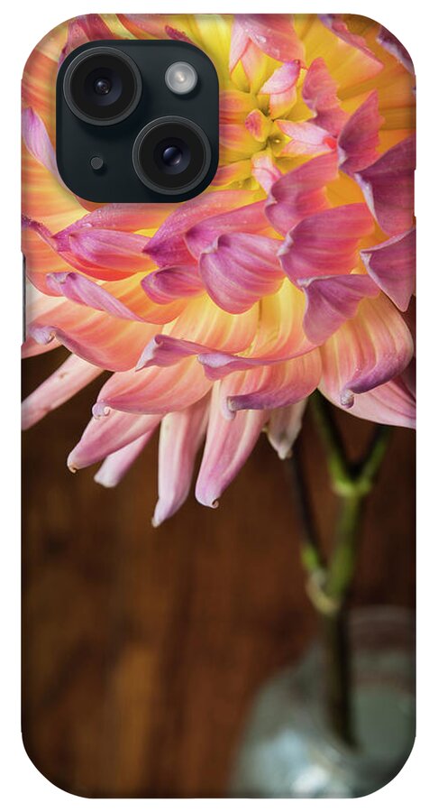 Floral iPhone Case featuring the photograph Glistening Petals by Deborah Klubertanz
