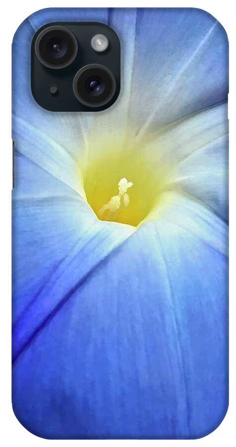 Morning Glory iPhone Case featuring the photograph Glorious Morning by Jill Love