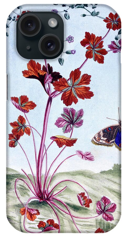 Butterfly iPhone Case featuring the painting Glossy Cranesbill by Pierre-Joseph Buchoz