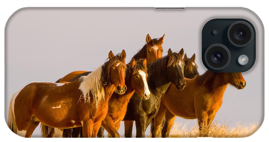 Wild Horse iPhone Case featuring the photograph Glow by Kent Keller
