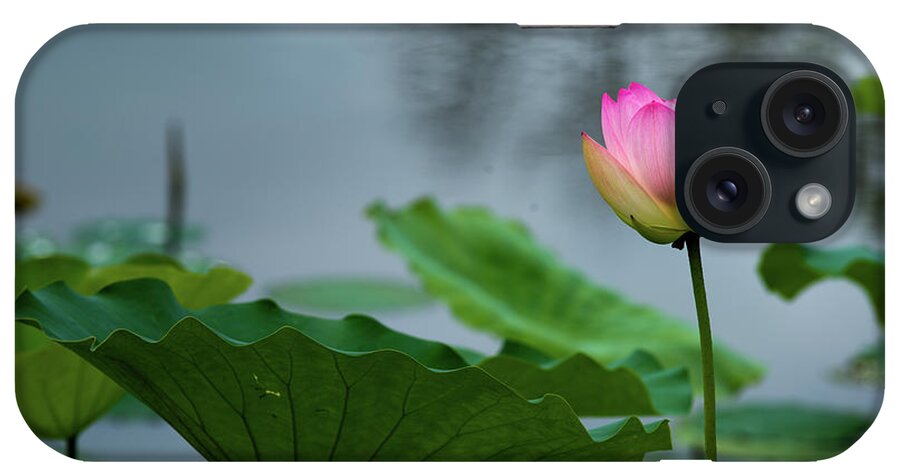 Bloom iPhone Case featuring the photograph Glowing Lotus Lily by Dennis Dame
