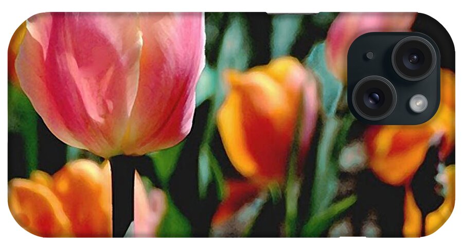 Tulips;flowers;garden Plants;garden;spring Garden;botanical Garden iPhone Case featuring the photograph Glowing Tulips by Janis Senungetuk
