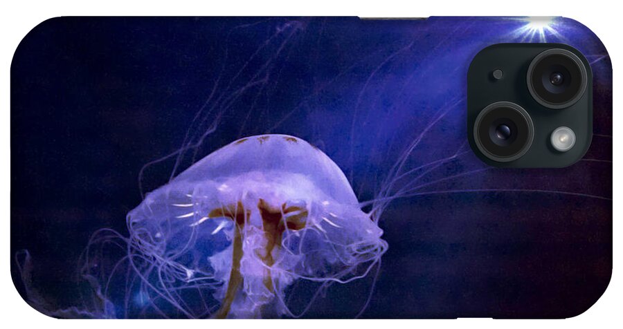 Sea Nettle Jellyfish iPhone Case featuring the photograph Go Into the Light by Suzanne Stout