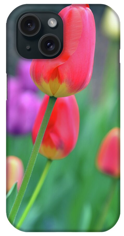 Tulip iPhone Case featuring the photograph Go Your Own Way by Angelina Tamez