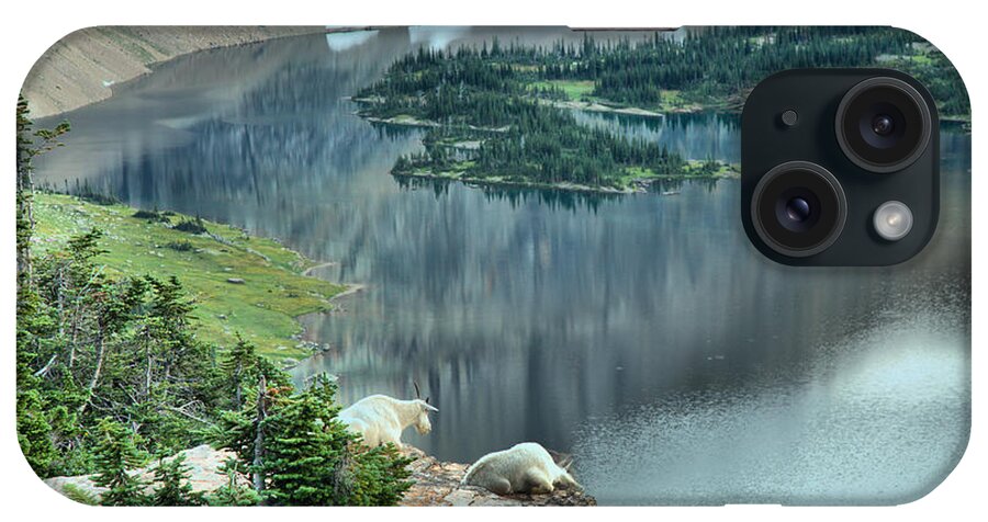 Hidden Lake iPhone Case featuring the photograph Goats Overlooking Hidden Lake by Adam Jewell