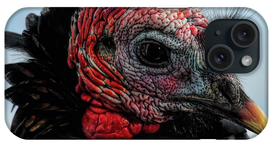 Wild Turkey iPhone Case featuring the photograph Gobbler Stare Down by Dale Kauzlaric
